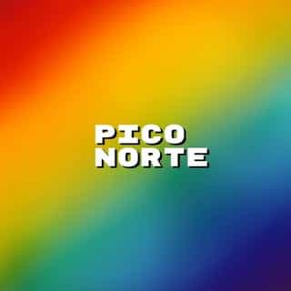 Pico Norte logo
