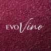Evovino AG logo