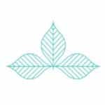 Medosi logo