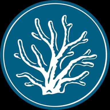 Maui Divers Jewelry logo