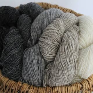 Maritime Family Fiber logo