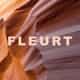 Fleurt Collective logo