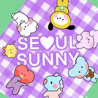SEOUL SUNNY logo