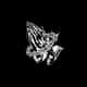 Gods Creation logo