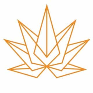 High Falls Hemp NY logo