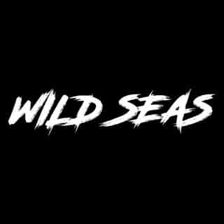 Wild Seas Fishing logo
