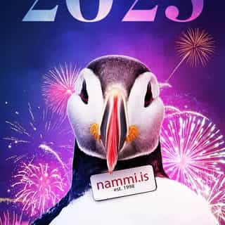 nammi.is logo