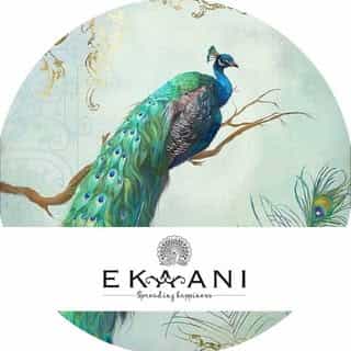 Ekaani logo