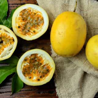 Passion Fruit & Co. logo