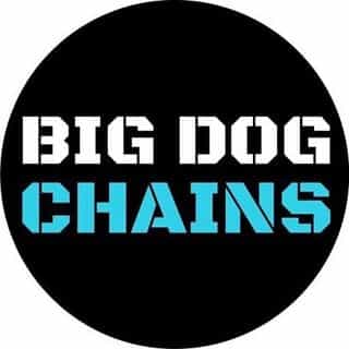 BIG DOG CHAINS ® logo