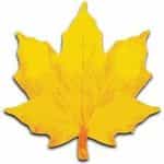 Botanex logo