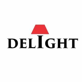 DELIGHT OptoElectronics Pte. Ltd logo