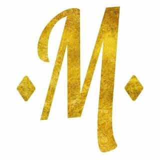 Macaronstore.nl logo