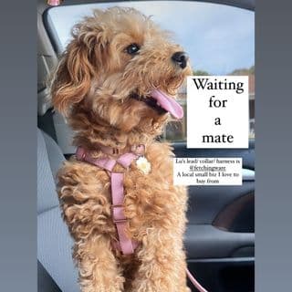 Fetching Ware logo