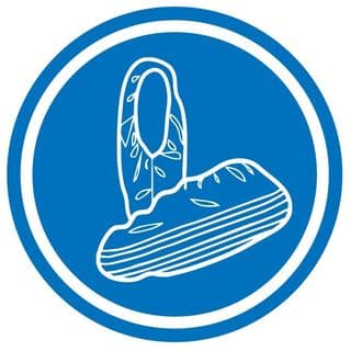 Blue Shoe Guys ® logo