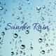 Sandee Rain Boutique logo