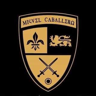 MC Armor logo