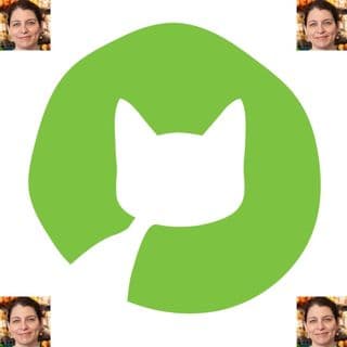 Les Laines Biscotte Yarns logo