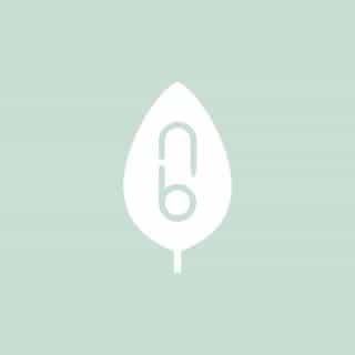 Natural Baby Shower logo