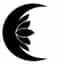 LotusAndLuna logo
