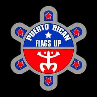 PR FLAGS UP logo