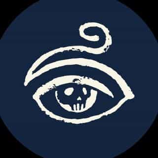 Prisma Visions logo