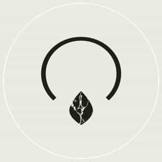 OrganiGrowHairCo logo