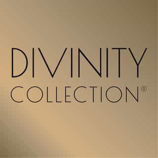 Divinity Collection logo