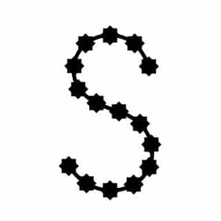 SALONI logo