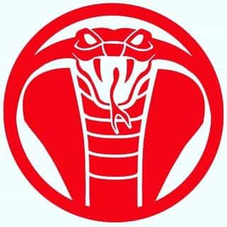 Broken Promises Co logo