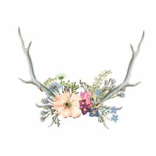Wild North Flowers logo