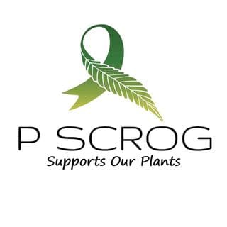 SCROGGER logo