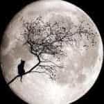 Full Moon logo