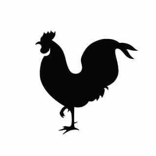 Black Rooster Decor logo
