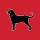 The Black Dog logo