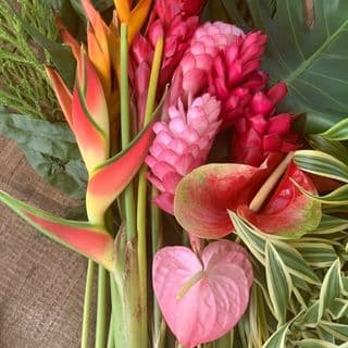 Blooms of Hawaii logo