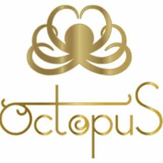 Octopus Denmark logo