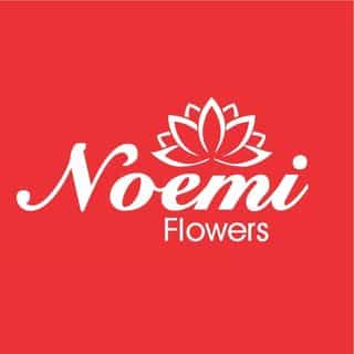 Floristería Noemi Flowers logo