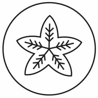 Republica BIO logo
