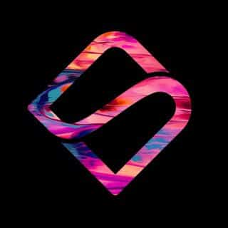 DesignSkinz logo