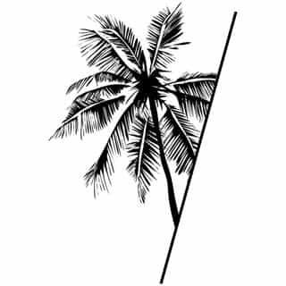 Pineapple Island logo