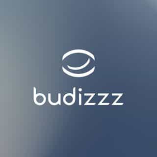 Budizzz logo