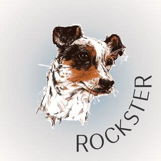 The Rockster - Healthy Life Enhancing Superfood for Dogs! logo