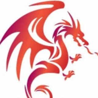 The Dragon Shop logo