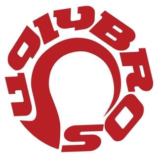 uglyBROS USA logo