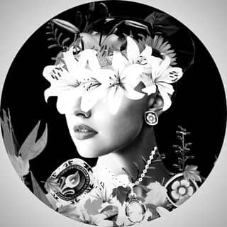 cameocalamity.com logo