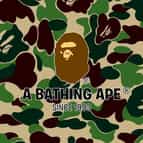 INT.BAPE.COM logo