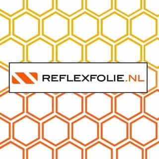 Dinoflex logo