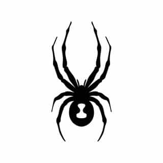 Spyder logo