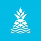 Chubbies Shorts logo